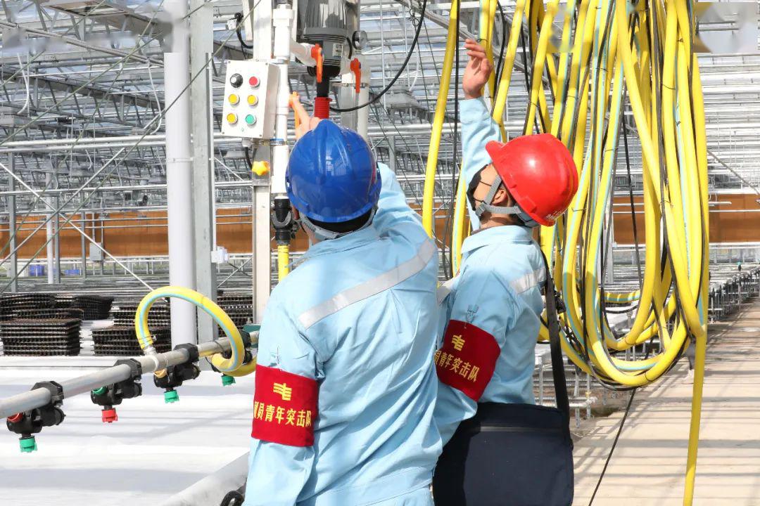 草海機場最新動態(tài)揭秘，建設(shè)進(jìn)展、航班信息及未來展望