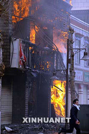 西藏最新事件，雪域高原的溫馨日常觀察