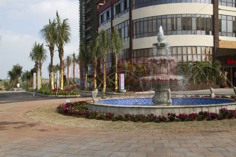 棕櫚水城最新動態(tài)，塑造理想生活新標桿！