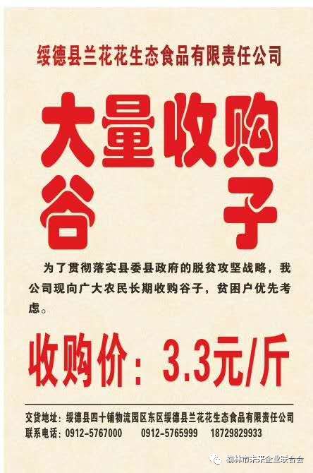 淄川最新財(cái)務(wù)招聘，職業(yè)發(fā)展的理想選擇