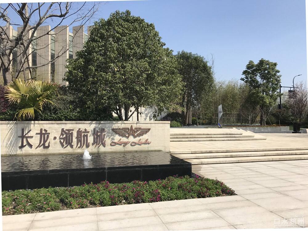 長龍領(lǐng)航最新動態(tài)，駕馭變革，開啟知識海洋的勵(lì)志之旅