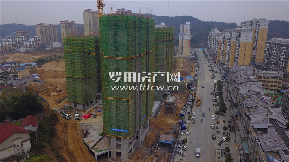 羅田最新房價(jià)揭秘，洞悉市場動(dòng)態(tài)，掌握房價(jià)走勢！