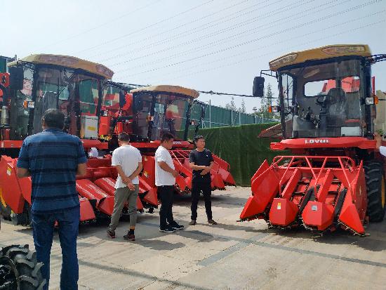 邳州玉米最新價格，時代見證下的市場動態(tài)