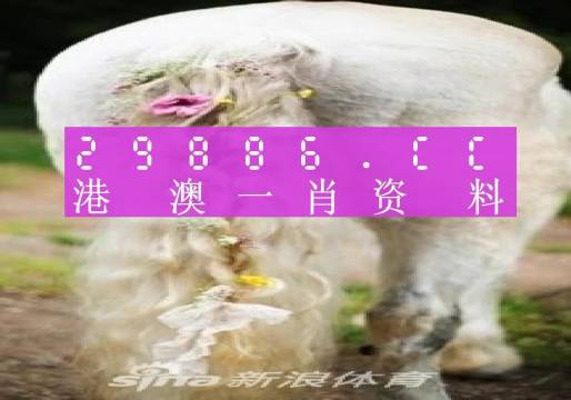 澳門四不像精準一肖一碼,數(shù)據(jù)分析計劃_UVR10.888智慧版