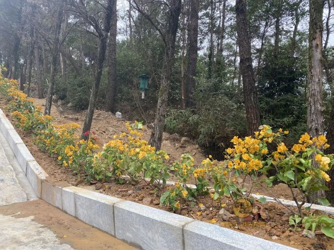 桂平手工，傳統(tǒng)與創(chuàng)新的完美交融