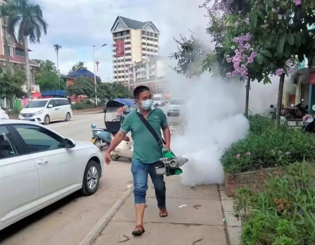 景洪登革熱最新疫情動(dòng)態(tài)，挑戰(zhàn)與自信之光的博弈