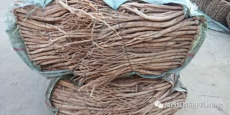 渭源黨參干貨最新價(jià)格及獲取指南，了解黨參干貨價(jià)格走勢與行情分析