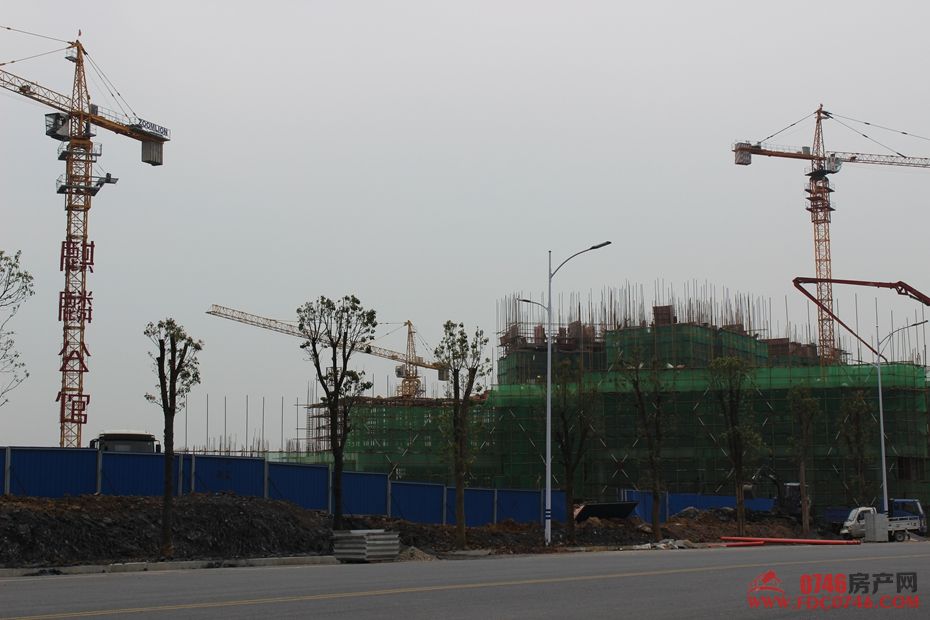 池州麒麟公館最新動(dòng)態(tài)揭秘，最新進(jìn)展與資訊更新