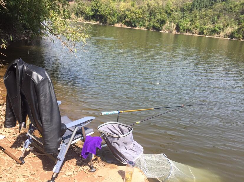 山門寺水庫(kù)釣魚最新指南，垂釣攻略與技巧分享