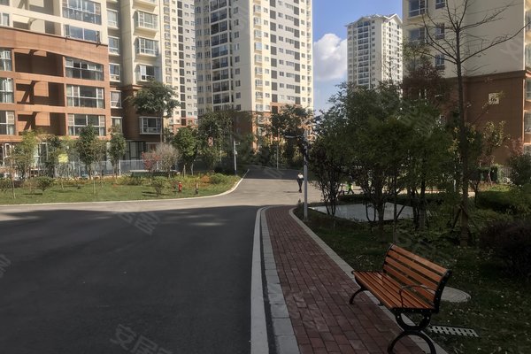 建禮家園最新動態(tài)，小巷中的隱藏瑰寶揭秘