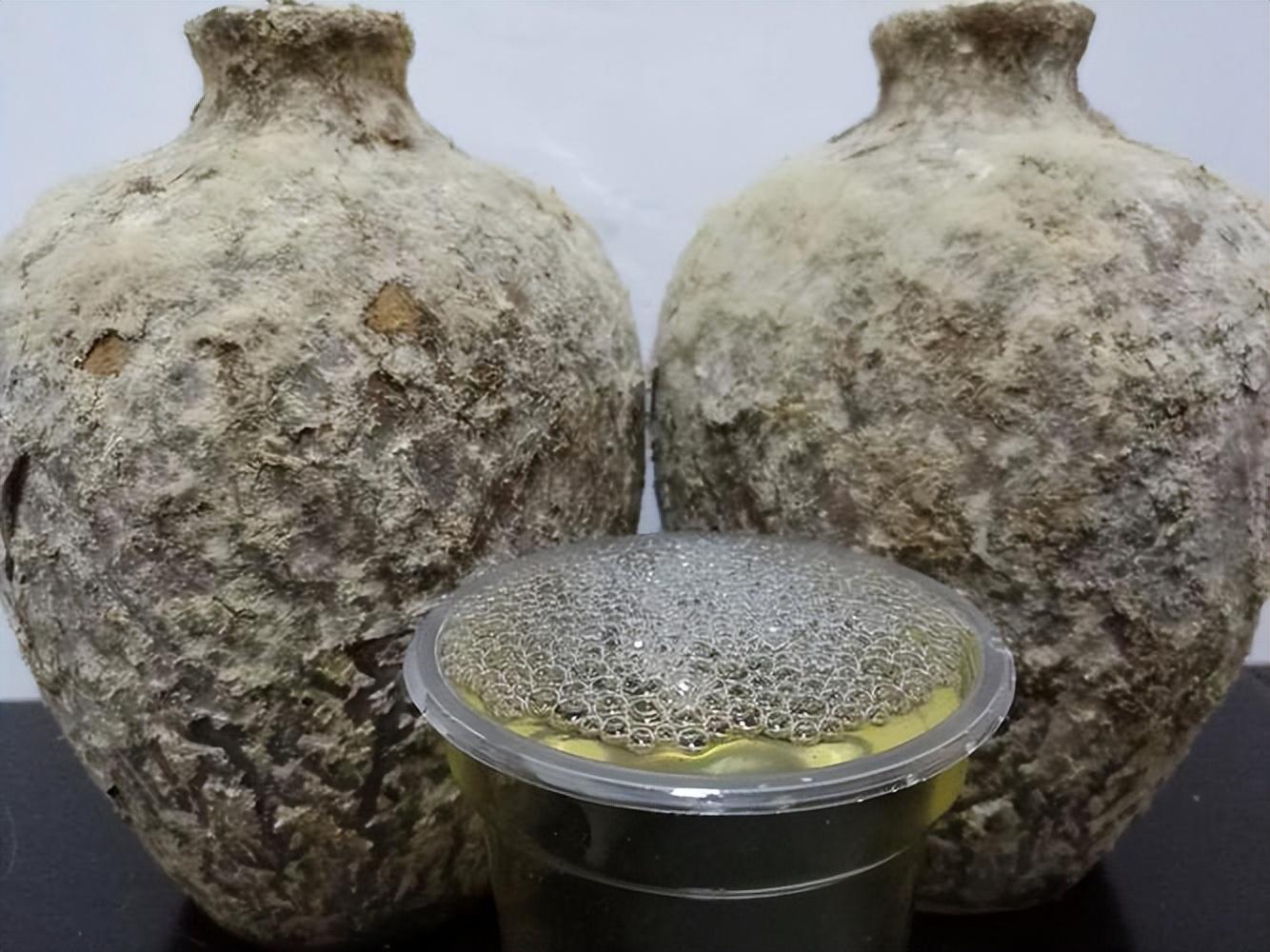 仁懷房屋出售最新信息，科技與家居融合，未來家居新體驗重磅推出