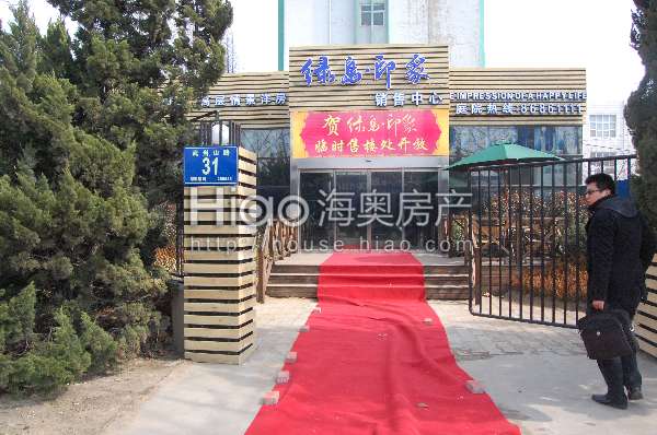 青島大洋花園最新動(dòng)態(tài)，科技重塑未來(lái)花園的極致體驗(yàn)