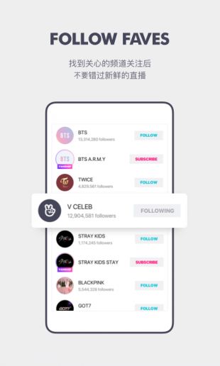 VAPP最新版下載，觀點(diǎn)論述與獲取渠道