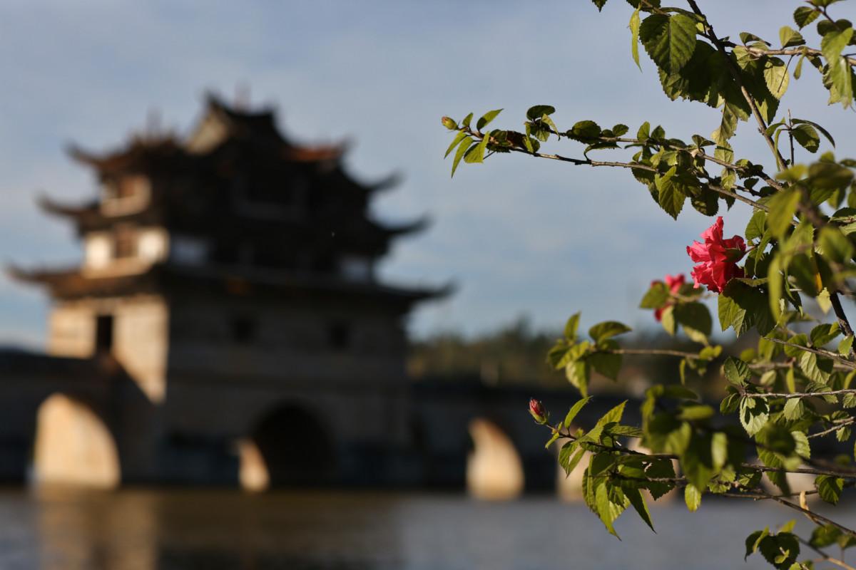 大冰最新力作，智能生活新紀(jì)元——科技與生活的完美融合