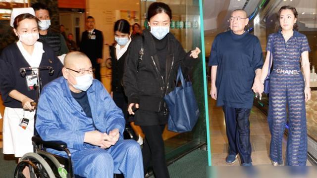 甘比日常故事與溫馨瞬間，最新照片回顧至2024年