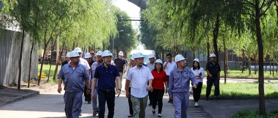 最新鍋爐工招聘信息揭秘，鍋爐工的溫馨日常故事探索