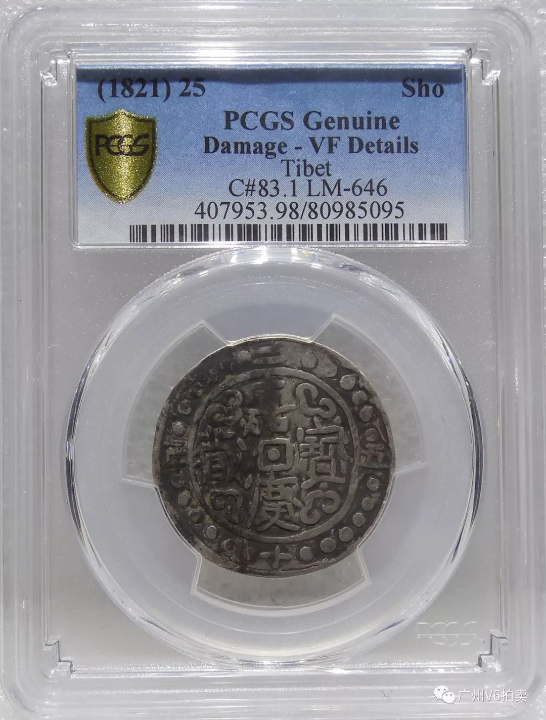 澳門(mén)精準(zhǔn)12碼中特,最新研究解讀_遠(yuǎn)光版13.570