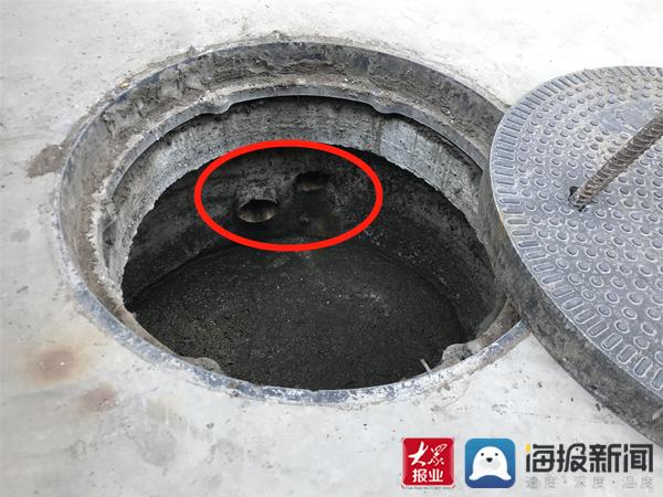 福建臺(tái)幫幫團(tuán)最新一期揭秘，小巷深處的隱藏美食瑰寶