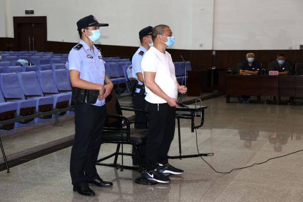 張顯富一審最新消息，自然之旅的呼喚，內心平和之地的探尋