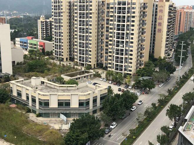 膠南山水雅居最新動(dòng)態(tài)，鄰里日常趣事與情感紐帶分享