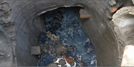 遂寧市電子廠最新招聘，與自然共舞，探尋內(nèi)心寧?kù)o之旅