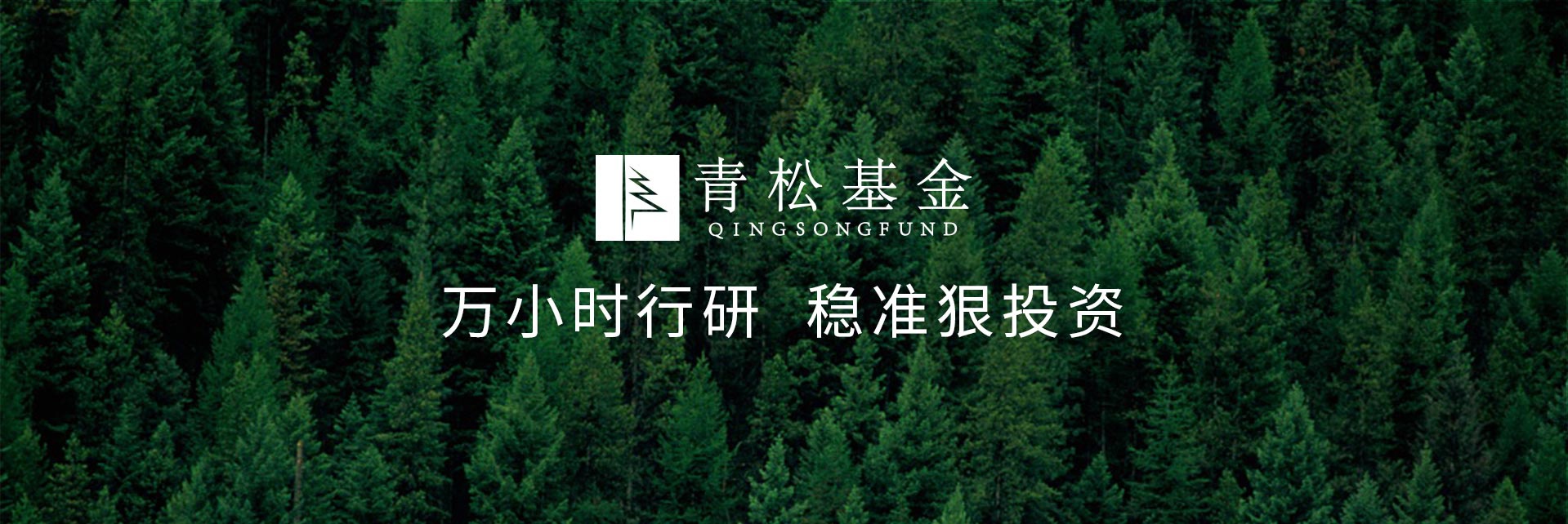 長青樹眾籌最新動態(tài)，背景、發(fā)展與時代地位探索