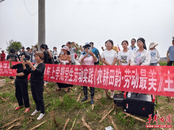 桃源木塘垸鄉(xiāng)新動(dòng)態(tài)，趣事連連，真摯友情綻放鄉(xiāng)間