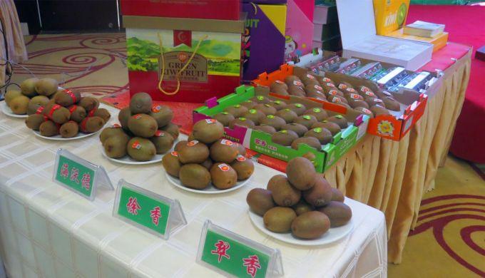 嘉興對接上海最新進展，城市崛起中的自信與成就感展現(xiàn)新面貌