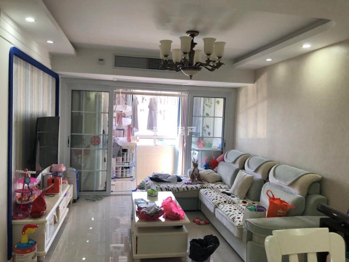 東坡最新個人二手房網(wǎng)，市場現(xiàn)象下的多元觀點深度探討