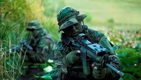 特種部隊(duì)小組最新版本，時(shí)代背景下的英勇先鋒