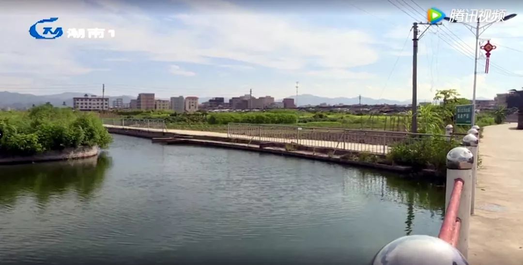 仙城鎮(zhèn)七陂村最新動(dòng)態(tài)更新??