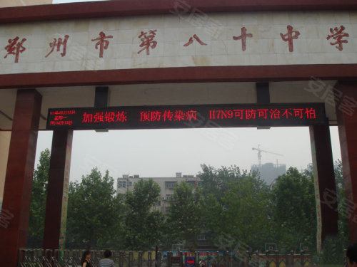 中原區(qū)九龍城最新動(dòng)態(tài)深度解析，最新進(jìn)展與觀點(diǎn)闡述