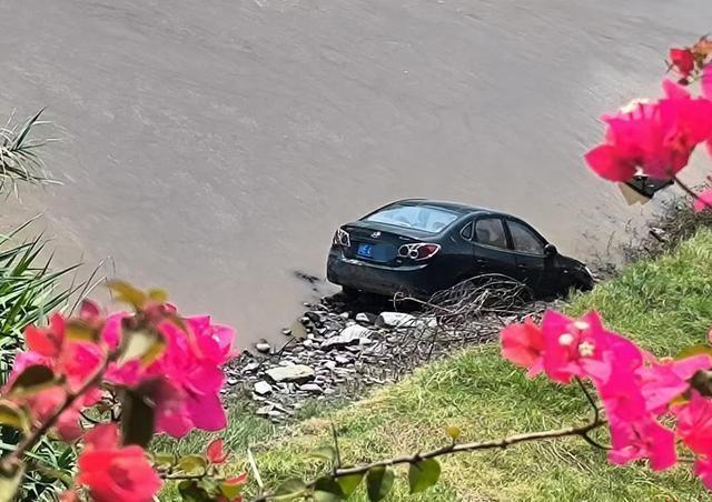 宜賓洪水最新消息，深度解析及應(yīng)對(duì)建議