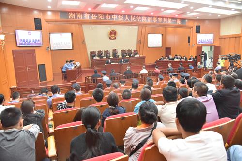 聶祖峰最新探索之旅，自然美景中的心靈尋覓與平和之境