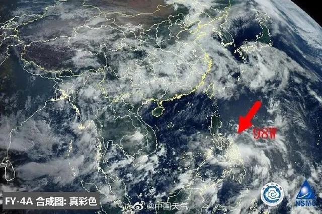 臺(tái)風(fēng)鸚鵡的最新動(dòng)態(tài)，逆風(fēng)翱翔的力量與學(xué)習(xí)魅力