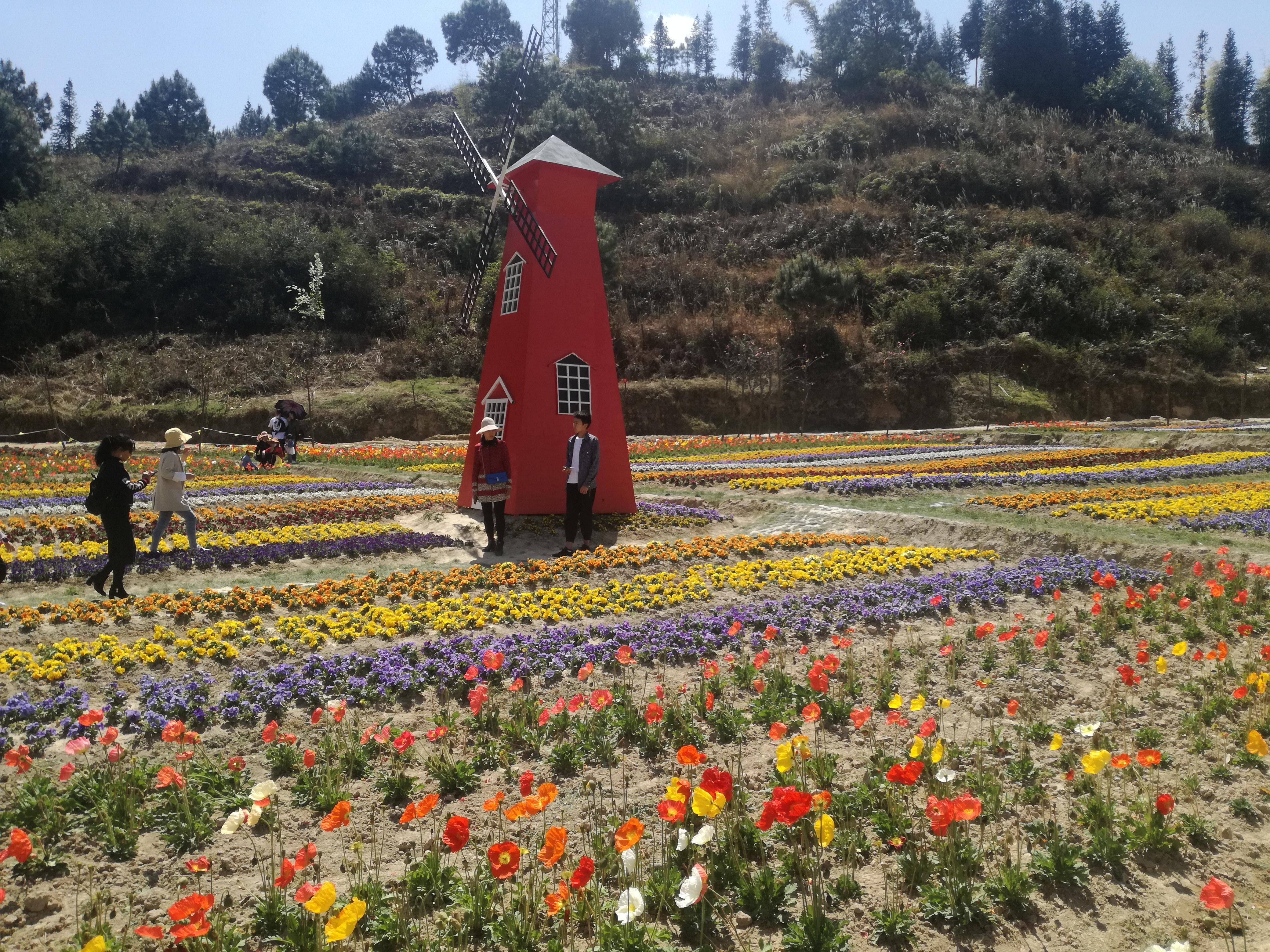 臨滄市最新探索，自然美景之旅，尋找內(nèi)心平和的旅程