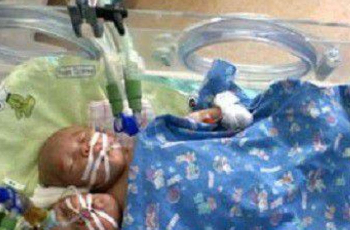 雙頭姐妹，時(shí)代背景下的傳奇故事最新進(jìn)展