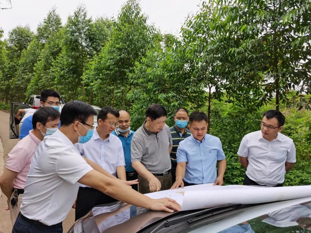 南寧龍象谷最新資訊，游玩指南與技能學習步驟全解析