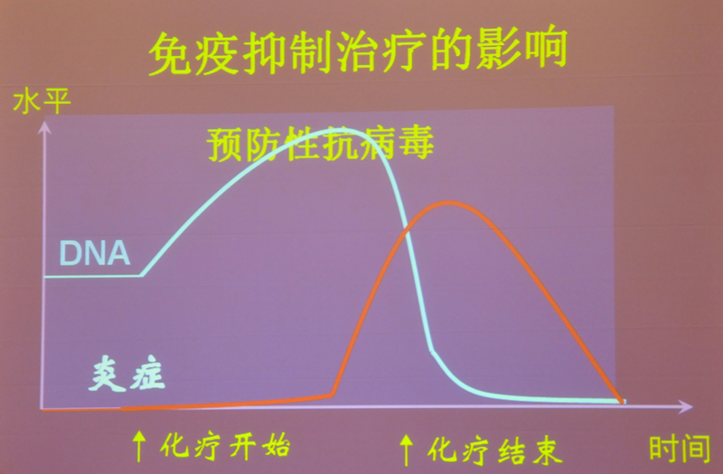 肝炎新進展揭秘，小巷深處的秘密小店探索