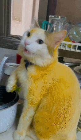 男友最新動(dòng)態(tài)，科技巔峰之作，引領(lǐng)未來生活新紀(jì)元風(fēng)潮