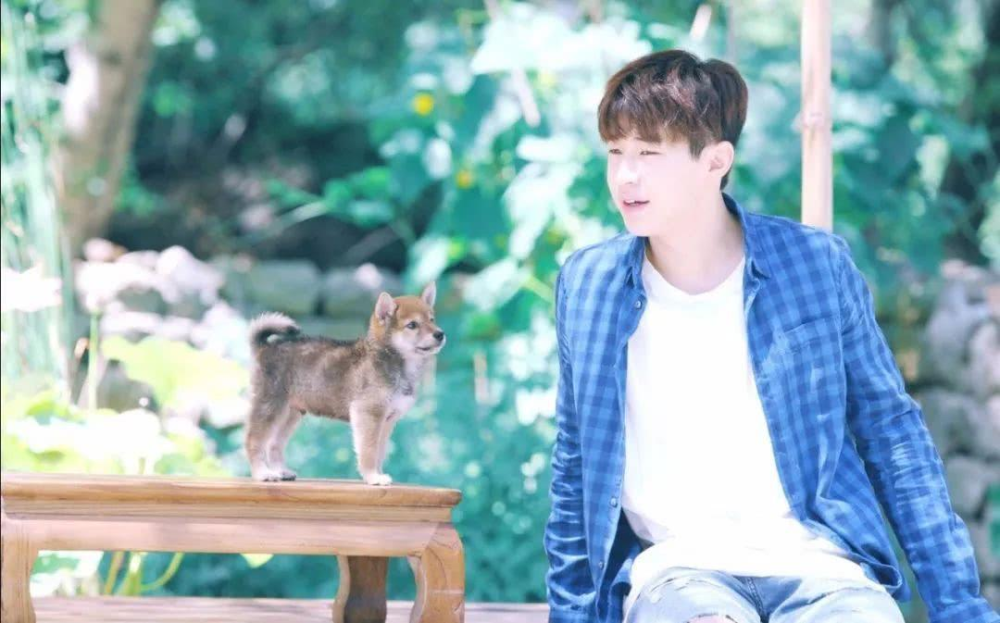 夏雪黃磊攜手演繹別樣精彩人生，新作品震撼來襲！???