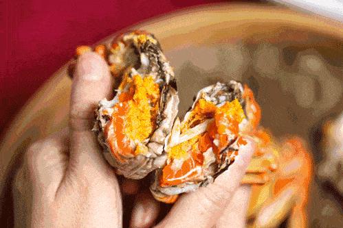 ??陽澄湖螃蟹上市季節(jié)情報，吃貨必知的秋季美味盛宴！??