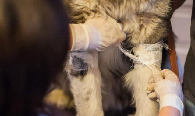 蘇州近期街邊情況，自然美景的心靈之旅體驗紀實