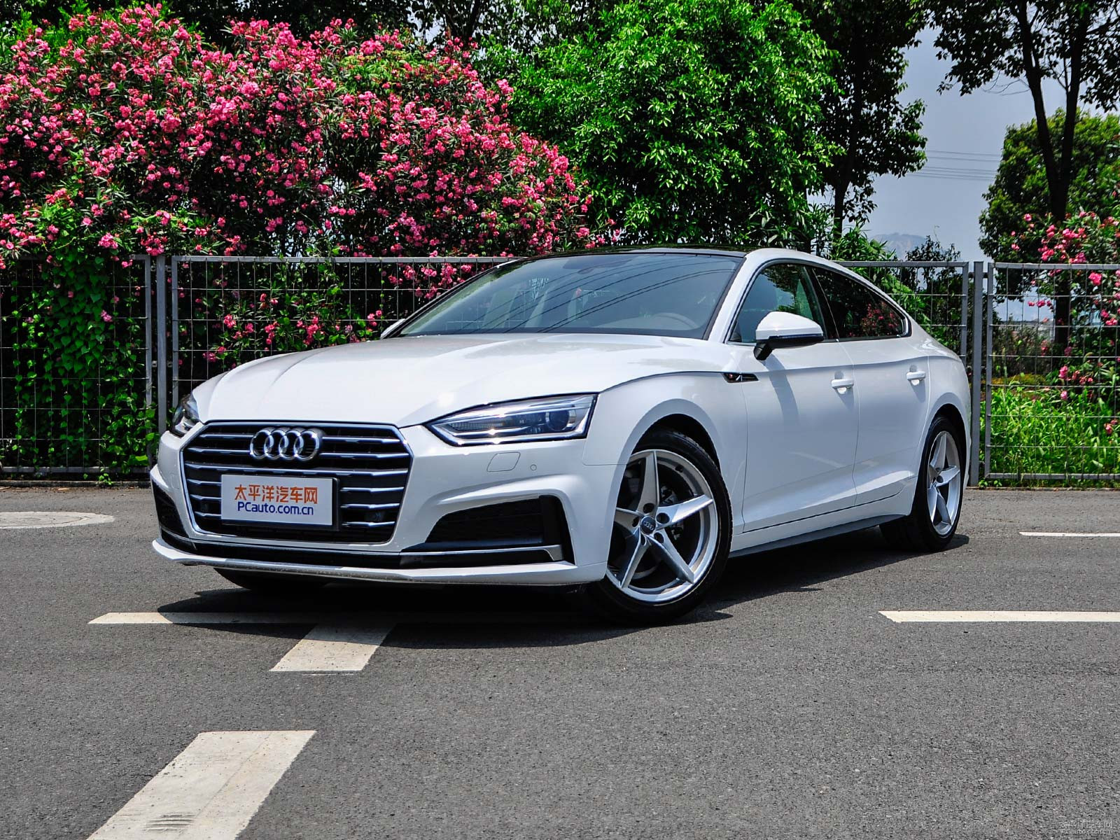 新款?yuàn)W迪A5價(jià)格及圖片，自然美景探索之旅的絕佳選擇