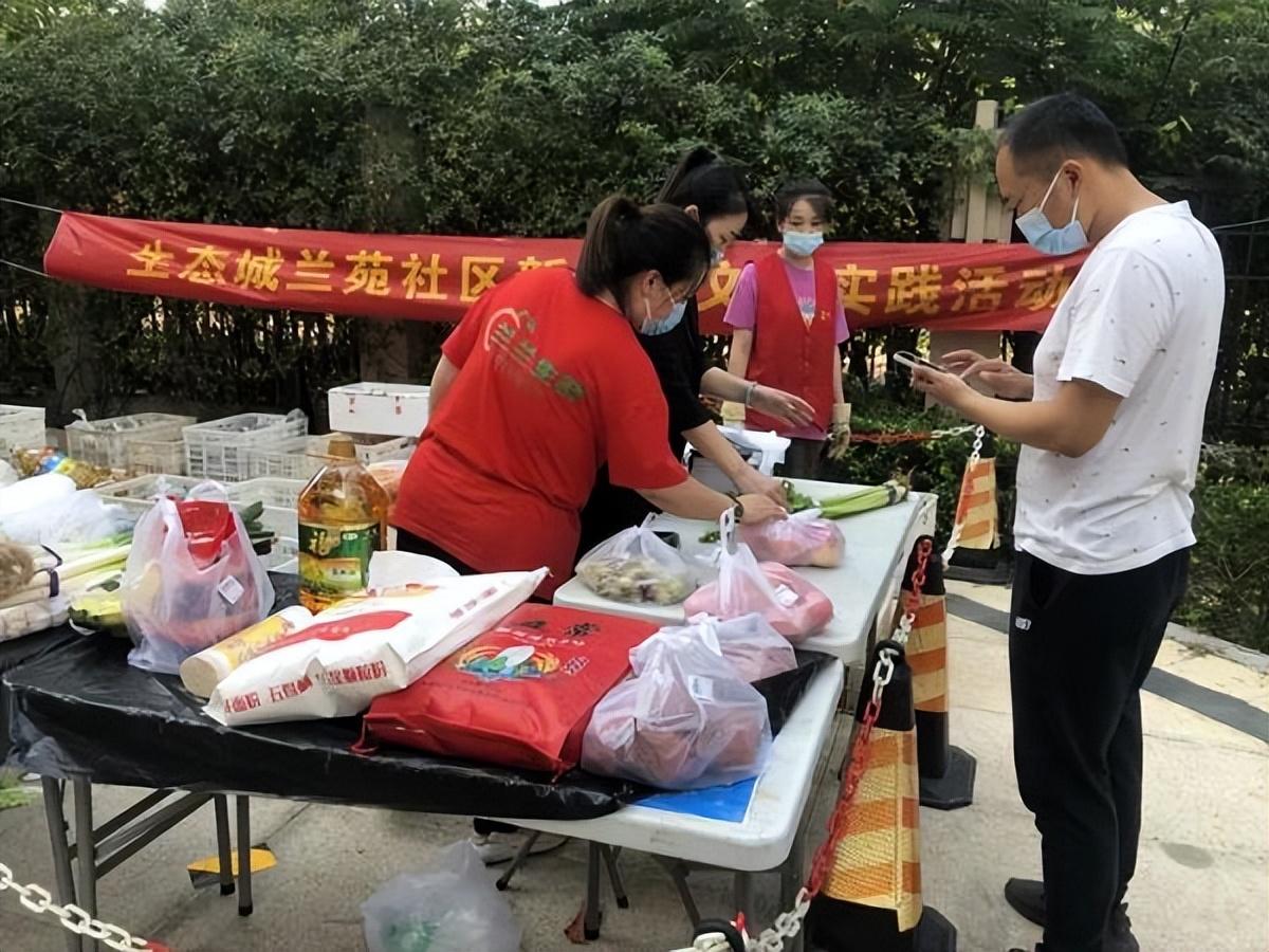 保利華潤紫云價格深度解析，探尋背后的故事與地位影響