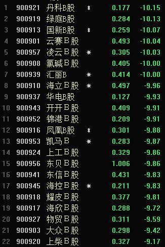 丹科B股票投資潛力與策略深度解析