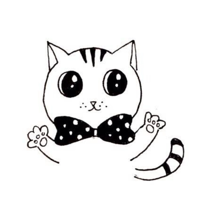 喵咪動漫，初學者與進階用戶的技能學習指南