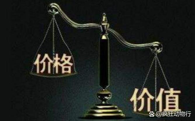 價格與價值解析，差異何在？
