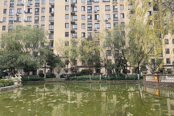 中豪明珠城最新價(jià)格，時(shí)代印記與城市的脈動(dòng)