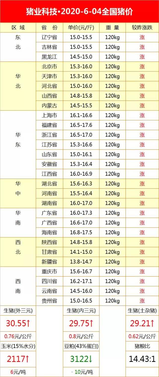 全國(guó)最新生豬價(jià)格今日豬價(jià)走勢(shì)，詳細(xì)步驟指南
